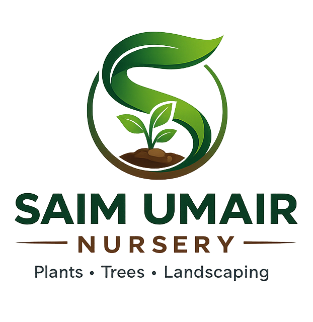 Saim Umair