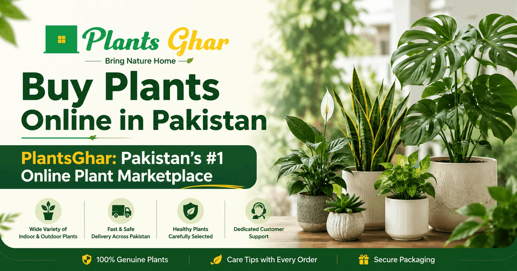 Buy Plants Online in Pakistan, PlantsGhar: Pakistan's #1 Online Plant Marketplace