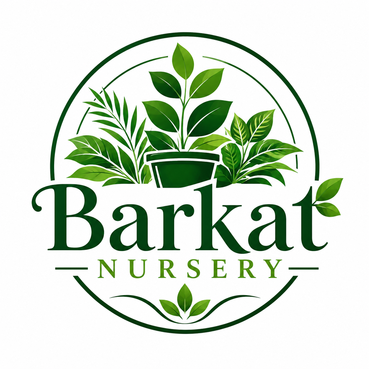 Barkat Nusery Farm
