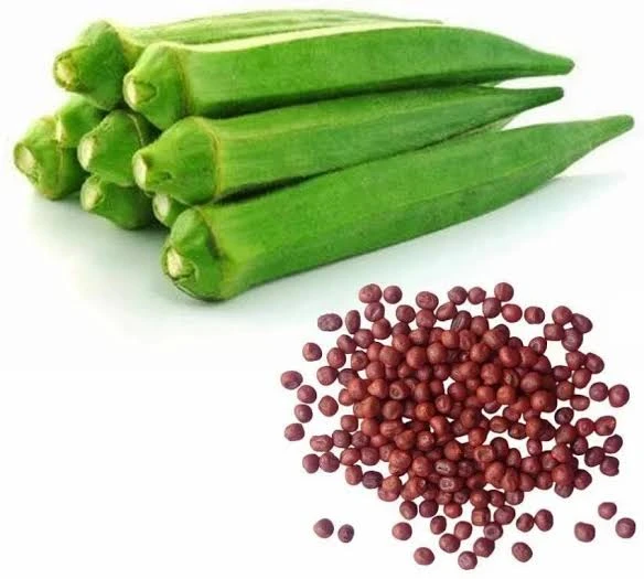 Lady Finger Seeds (Okra / Bhindi)
