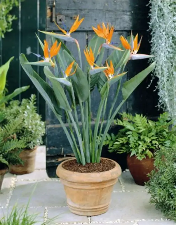 Stylish & Modern Picks