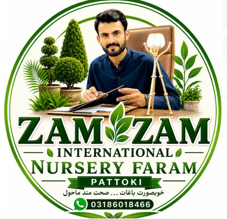 ZAM ZAM NURSERY FARM