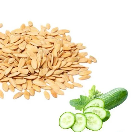 Cucumber Seeds (Kheera)