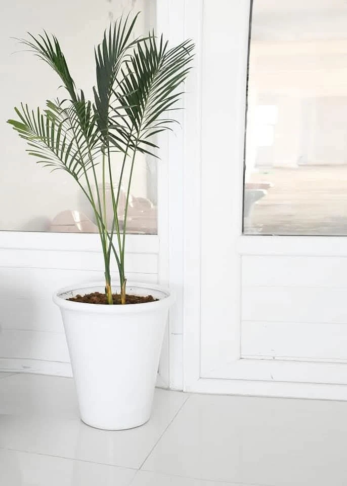 Ceramic Glazed Pot 18"