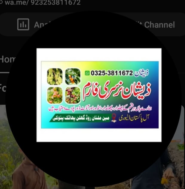 Zeshan nursery form pattoki