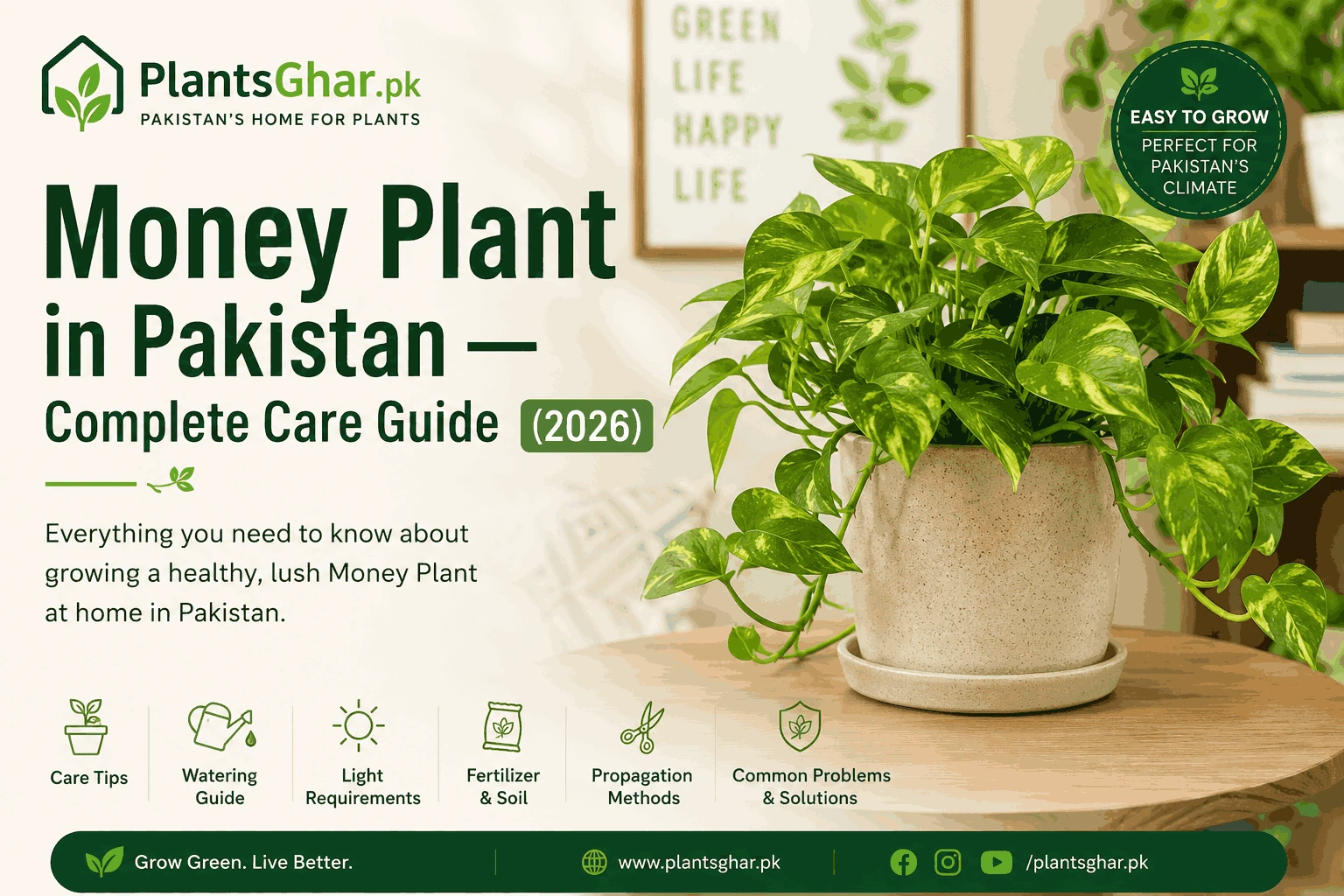 Money Plant in Pakistan — Complete Care Guide (2026)