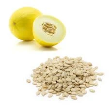 Sweet Melon Seeds (Kharbooza / Muskmelon)